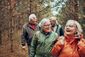 Eine Gruppe von vier Senior:innen wandert durch den Wald